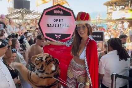 (VIDEO) BALON S MASKOTOM TIGRA, ŠAMPANJAC I KRUNA Hana Hadžiavdagić opet pokazala da je kraljica žurki