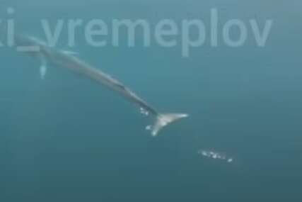 (VIDEO) Uživa u vodama Crne Gore: Pojavio se NOVI SNIMAK kita iz Jadrana kod Bara