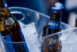 Nektar light party