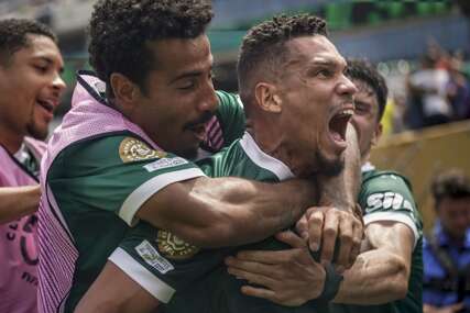 PALMEIRAS "NOKAUTIRAO" BOTAFOGO Paulinjo u 100. minuti postigao gol i odveo tim u četvrtfinale