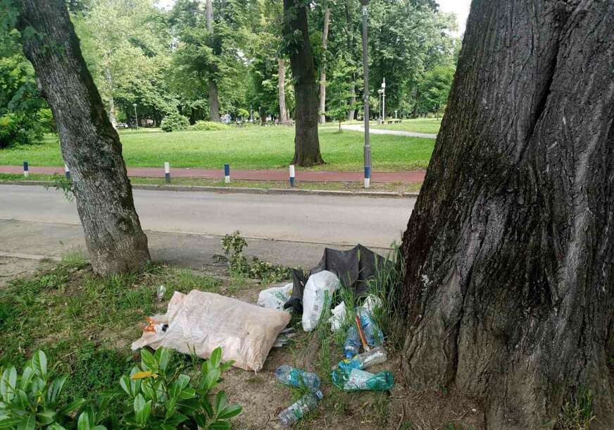 Park Mladen Stojanović, smeće