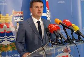 GUBITNIK DANA Radovan Majkić