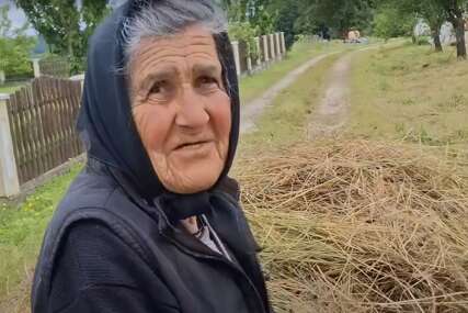 Stoja Zarić