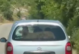 (VIDEO) Nesvakidašnje scene na hercegovačkim putevima: Kamere "uhvatile" tele u automobilu