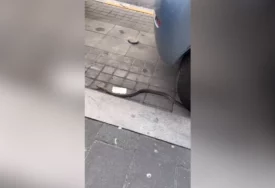 (VIDEO) "PROVJERITE VOZILO PRIJE NEGO ŠTO UĐETE!" U centru grada ugledala jeziv prizor i na parkiran auto ostavila poruku