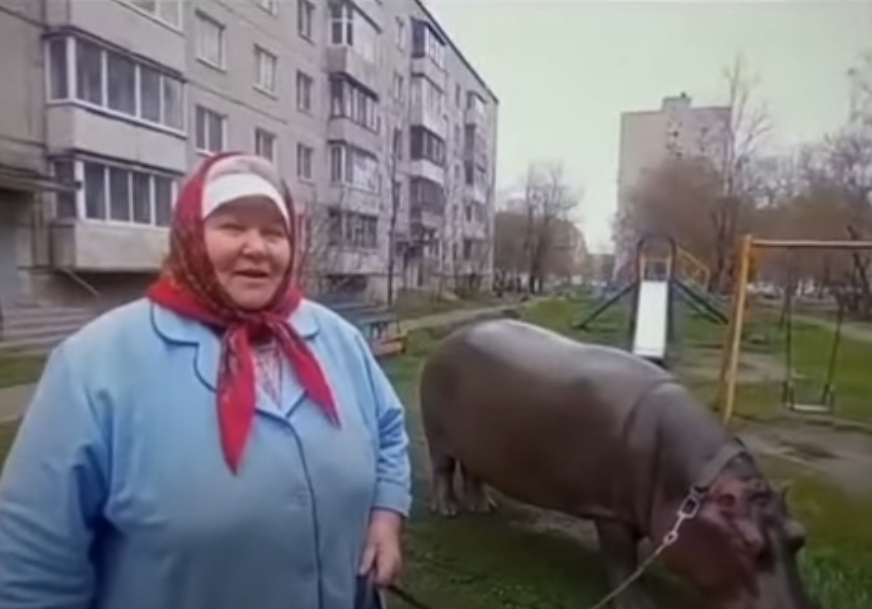 baka i nilski konj