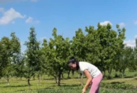 (FOTO) ZAVRNULA RUKAVE I UHVATILA SE MOTIKE Katarina Lazić pokazala koliko je vrijedna u bašti, svi misle da GLUMI ZA INSTAGRAM