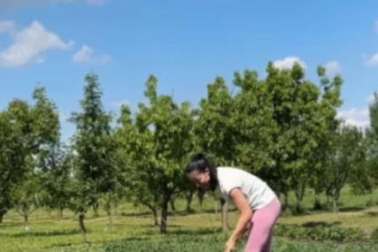 (FOTO) ZAVRNULA RUKAVE I UHVATILA SE MOTIKE Katarina Lazić pokazala koliko je vrijedna u bašti, svi misle da GLUMI ZA INSTAGRAM