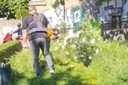 (VIDEO, FOTO) "Bravo, ali i žalosno" Sarajlije dijele iste muke sa Banjalučanima, niko ne vodi brigu o NEPOKOŠENOJ TRAVI