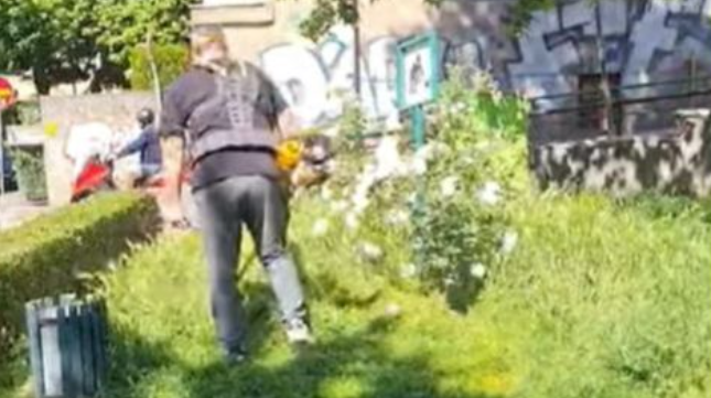 (VIDEO, FOTO) "Bravo, ali i žalosno" Sarajlije dijele iste muke sa Banjalučanima, niko ne vodi brigu o NEPOKOŠENOJ TRAVI