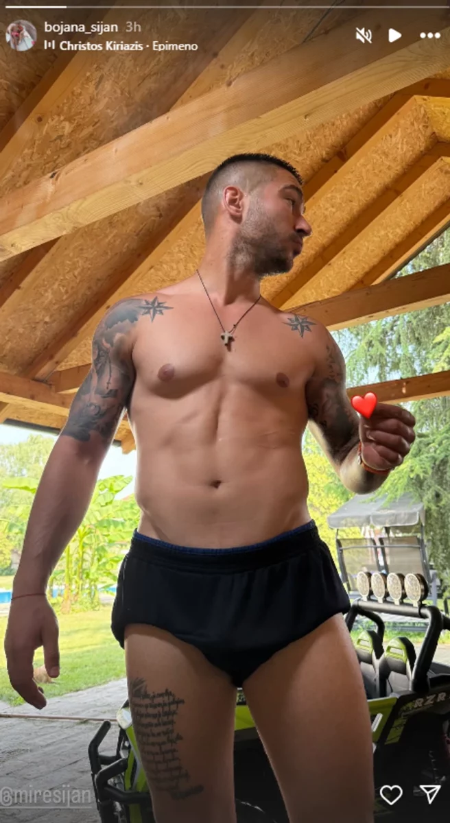 mirko šijan