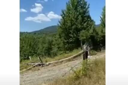 (VIDEO) TIJELO JOJ PRONAŠAO UNUK Pojavili se prvi snimci sa Ozrena gdje je žena brutalno ubijena