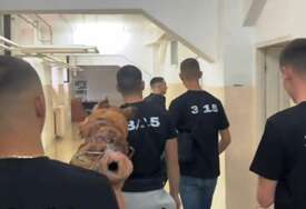 (VIDEO) “DOŠLI DA POPRAVIMO OCJENE” Duhoviti mladići donijeli pečeno prase u školu, odmah postali viralni