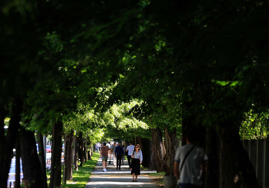 banjalučke aleje 