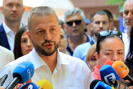 želimir nešković sds