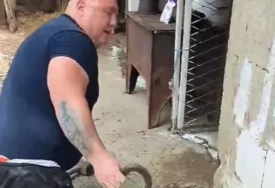 (VIDEO) ZMIJE UŠLE U TEMELJ KUĆE Porodica sa malom djecom bila U OPASNOSTI, a onda je došao on i odnio opasne gmizavce