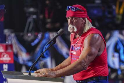 Hulk Hogan 