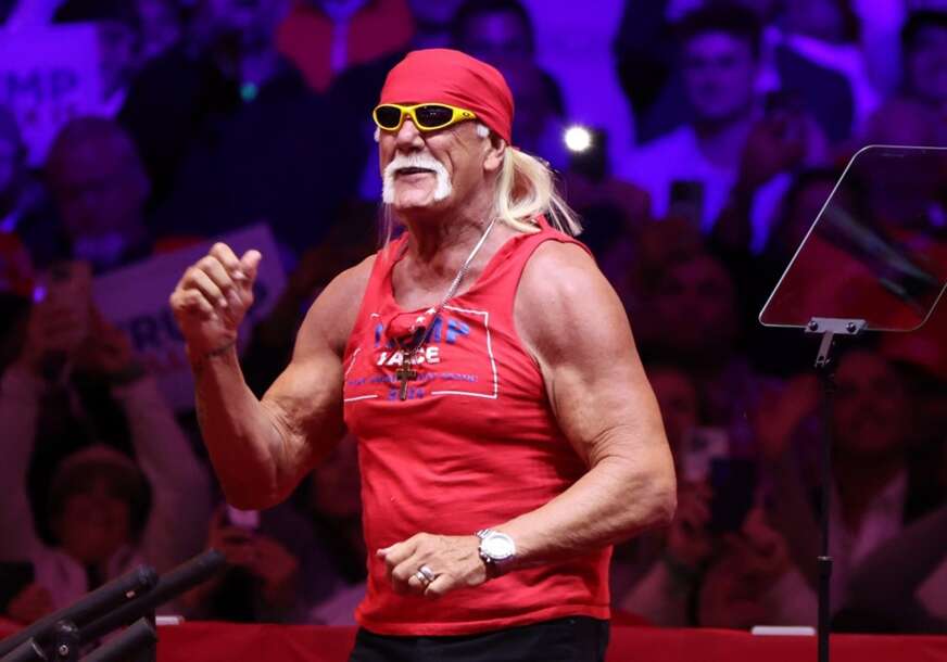 Hulk Hogan 