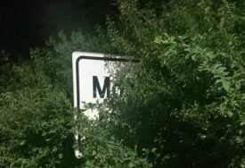 MOTIKE U ŠIKARI Tabla s natpisom naselja zarasla u zelenilu, samo prvo slovo izviruje
