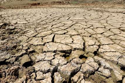 SUŠA UNIŠTILA POLJOPRIVREDNIKE Proglašeno stanje prirodne nepogode u 6 gradova i 24 opštine
