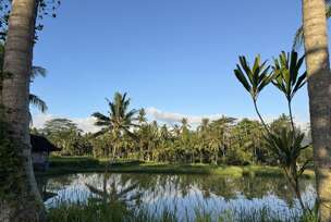 Bali