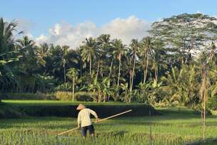 Bali