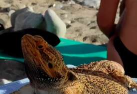 (VIDEO) "KAKVA NEMAN SE SUNČA ISPOD SUNCOBRANA" Šok na plaži u Crnoj Gori, niko nije ostao ravnodušan pred ovim prizorom
