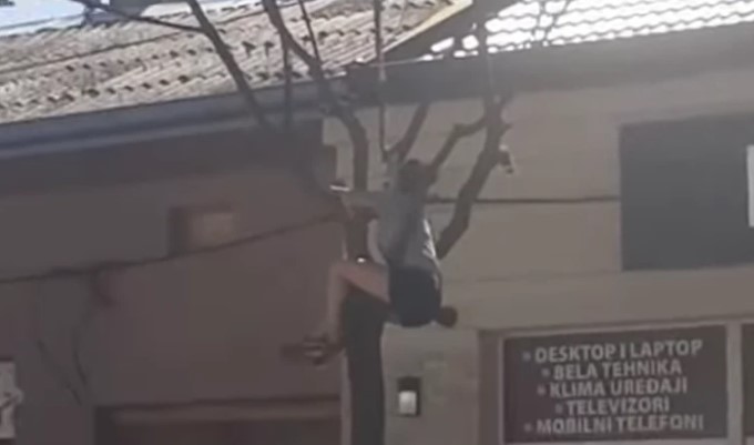Djevojka visi sa drveta