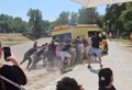 itne pomoći zaglavljenog na kamenitom teren