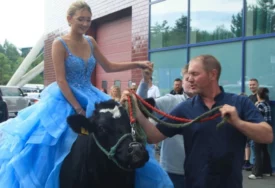 "Nije lako biti DIJETE POLJOPRIVREDNIKA u gradu" Maturantkinja na proslavu došla NA KRAVI, roditelji ponosni