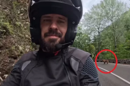 (VIDEO) "Nije prijatno kad pomislim šta može da se desi" Marko Rokvić SREO MEDVJEDA na putu, odmah podijelio snimak