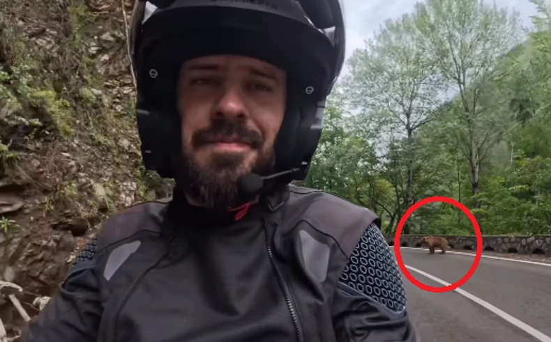 (VIDEO) "Nije prijatno kad pomislim šta može da se desi" Marko Rokvić SREO MEDVJEDA na putu, odmah podijelio snimak
