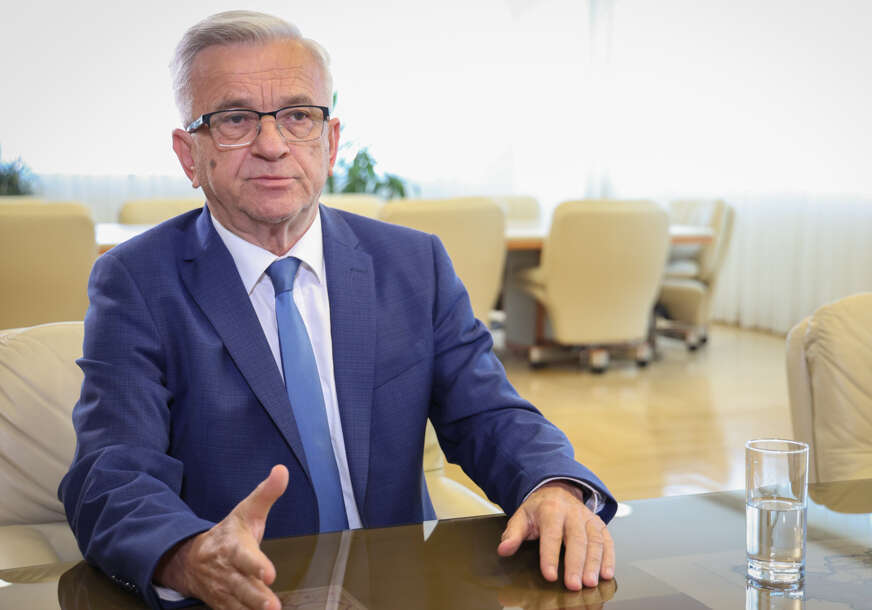 Nedeljko Čubrilović