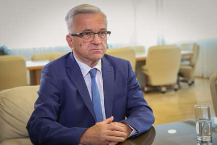 Nedeljko Čubrilović