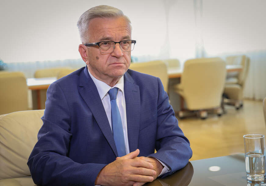 Nedeljko Čubrilović