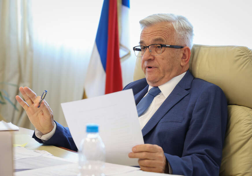 Nedeljko Čubrilović