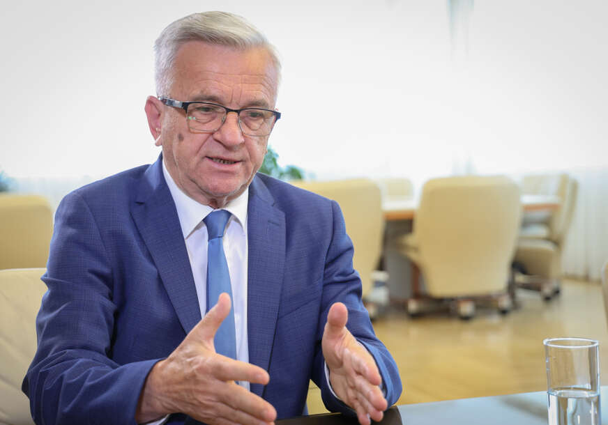 Nedeljko Čubrilović