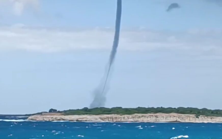 Pijavica, Hrvatska