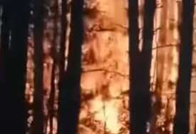 (VIDEO) "PLAMEN SE ŠIRI NEVJEROVATNOM BRZINOM" Vatra guta šumu kod Priboja, mještani u panici zbog stravičnog požara