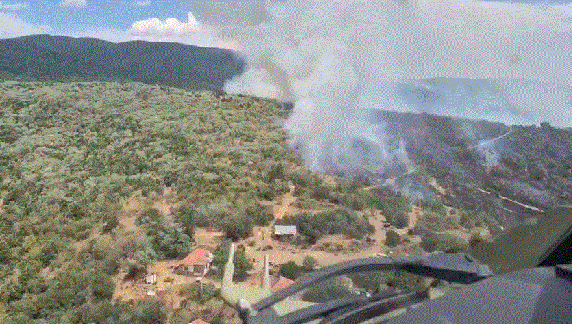 (VIDEO) VATRA GUTA SVE PRED SOBOM Dramatični snimci požara na jugu Srbije, MUP digao helikoptere