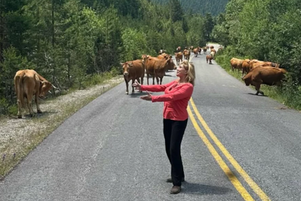 (FOTO) VODITELJKU ODUŠEVILA OVA ŽIVOTINJA Iz grada otišla na planinu, pa podijelila fotografije