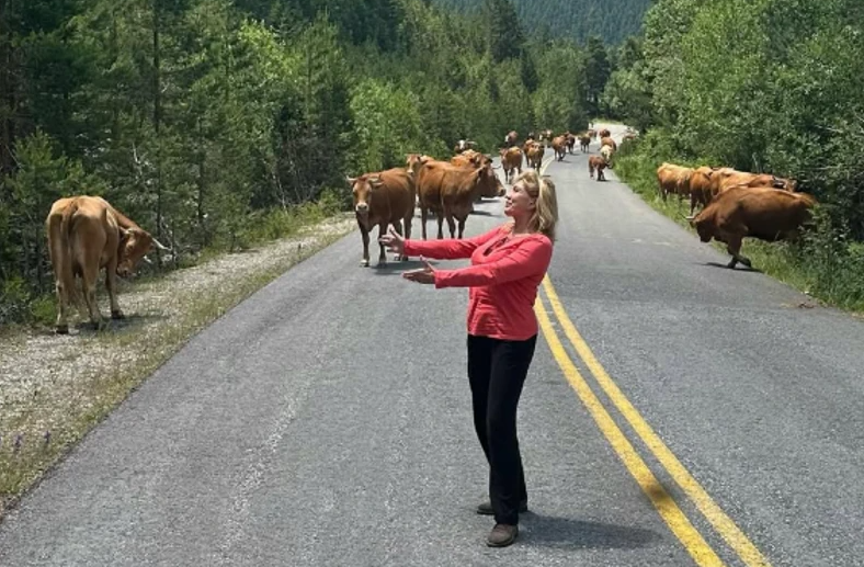 (FOTO) VODITELJKU ODUŠEVILA OVA ŽIVOTINJA Iz grada otišla na planinu, pa podijelila fotografije