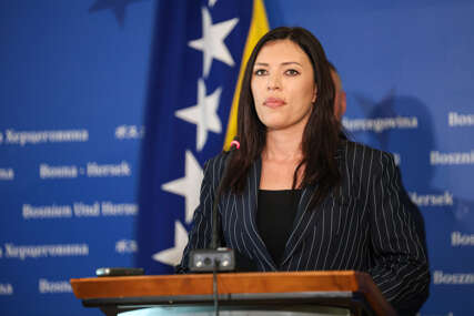 Šef Kluba poslanika SNSD-a u Predstavničkom domu Parlamentarne skupštine BiH Sanja Vulić 