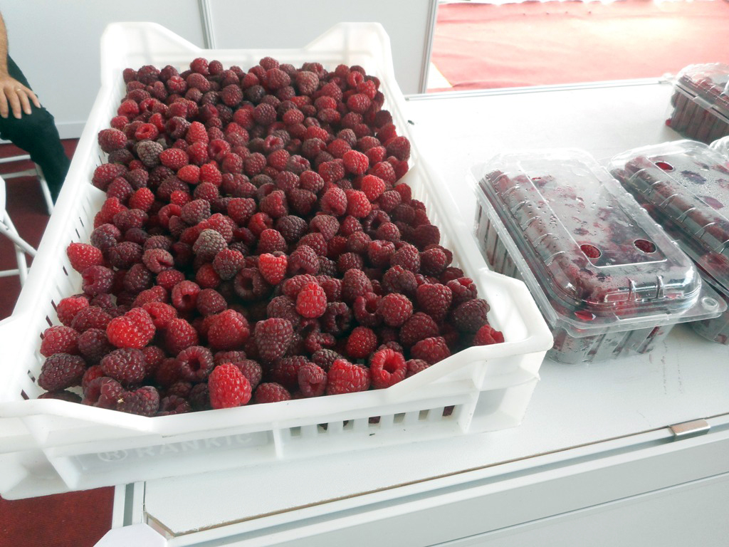 U Bratuncu ukradeno oko 150 kilograma malina