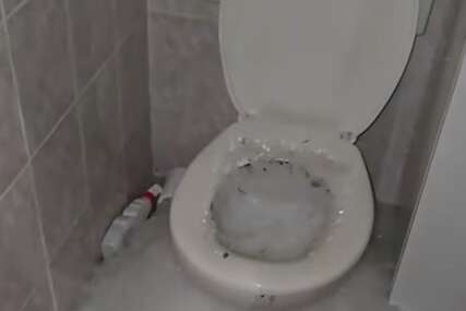 Led u WC šolji 