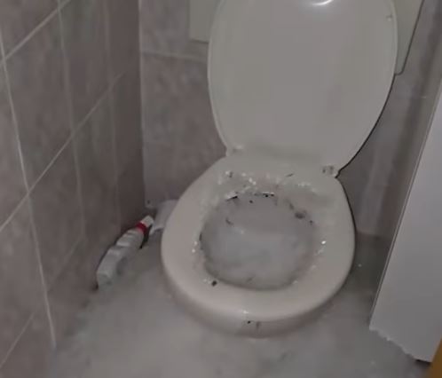 Led u WC šolji 