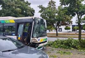HAOS U LJUBLJANI Stablo palo na autobus s 15 putnika tokom vožnje