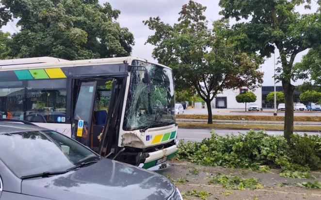 Stablo palo na autobus u Ljubljani