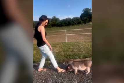 (VIDEO) "Priroda i društvo" Sloboda Mićalović otišla na farmu, pa pokazala kako se provodi sa svinjama, snimak postao viralan