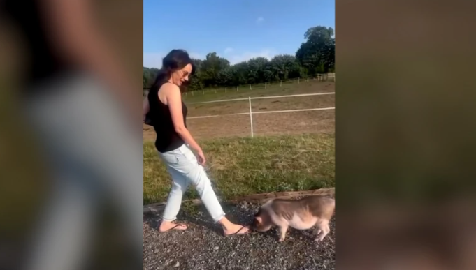 (VIDEO) "Priroda i društvo" Sloboda Mićalović otišla na farmu, pa pokazala kako se provodi sa svinjama, snimak postao viralan